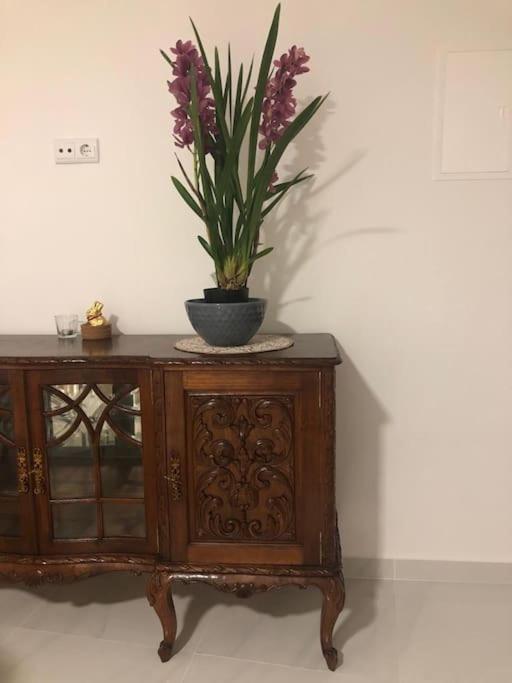 Casa Bossa Nova Apartman Fundão Kültér fotó